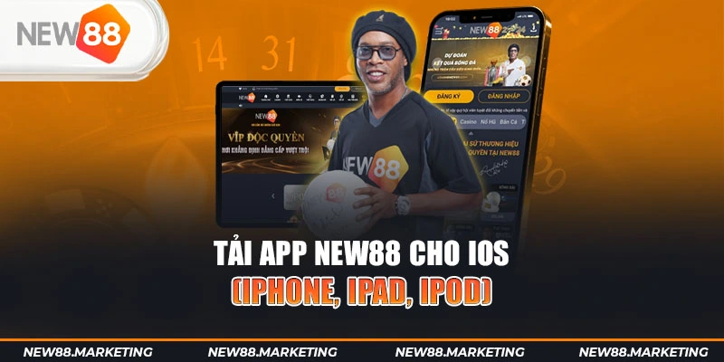79king2 gà chọi cậu thanh