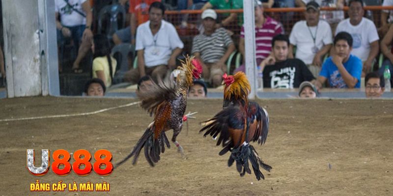 79king2 đăng nhập mậu binh khuyến mãi