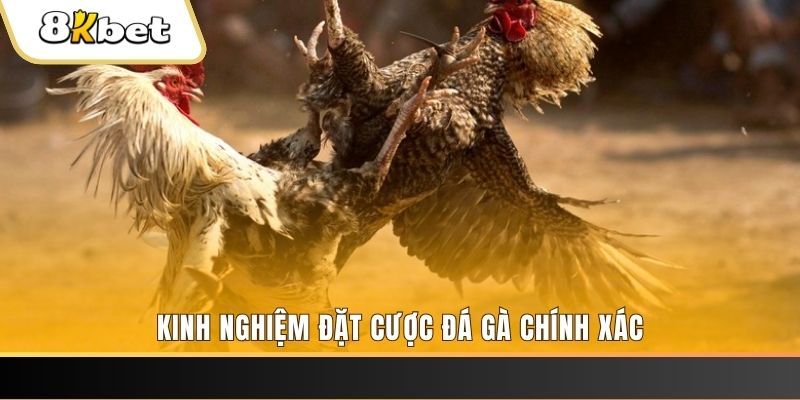 79king2 xổ số thứ bảy hàng tuần