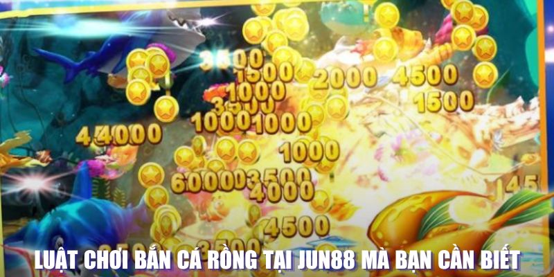 79king2 xổ số đài hà nội