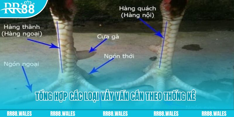 79king2 casino hồ tràm có cho người việt vào không