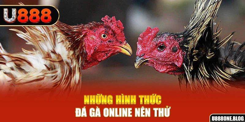 79king2 nổ hũ ai là gì