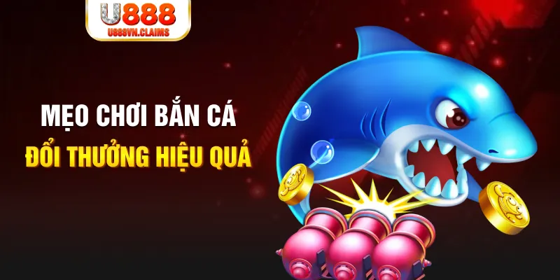 79king2 gà chọi cam ranh