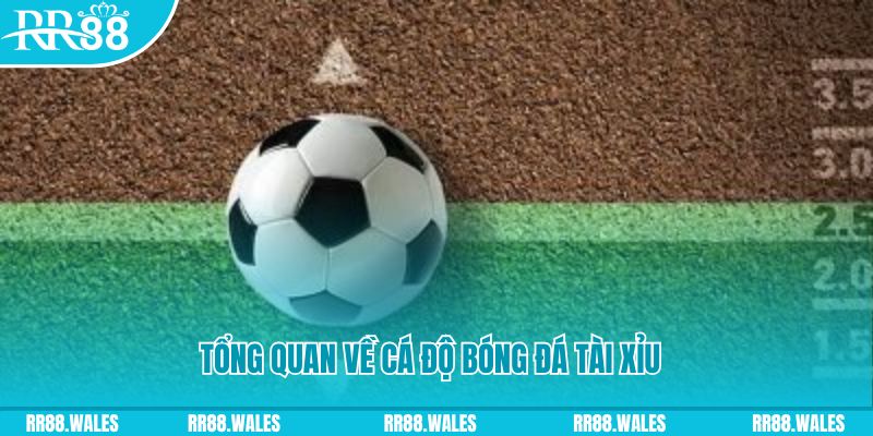 79king2 đăng nhập roulette online