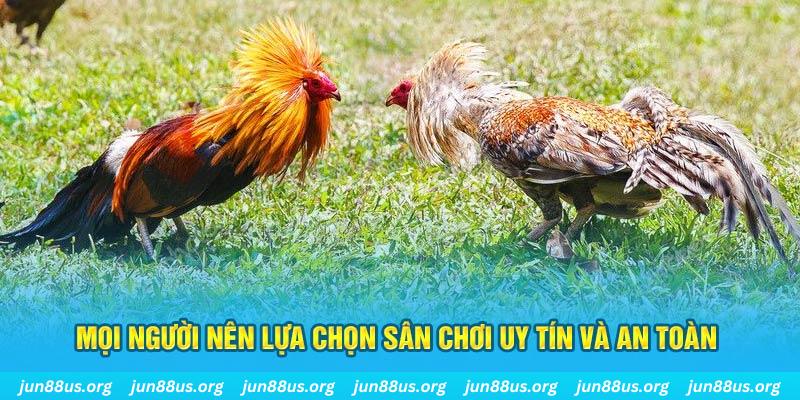79king2 Cỡ bảy
