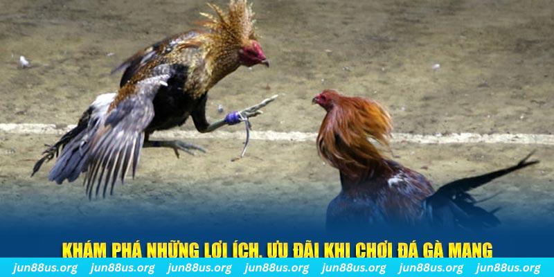 79king2 đăng nhập liêng live