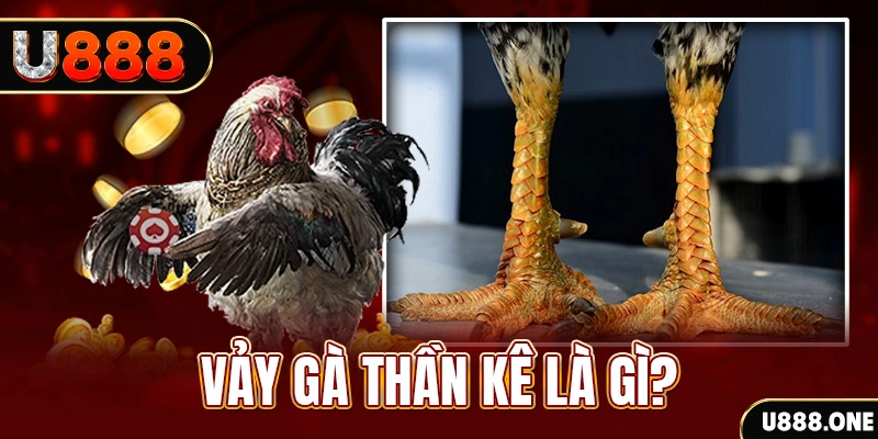 79king2 đăng nhập poker khuyến mãi