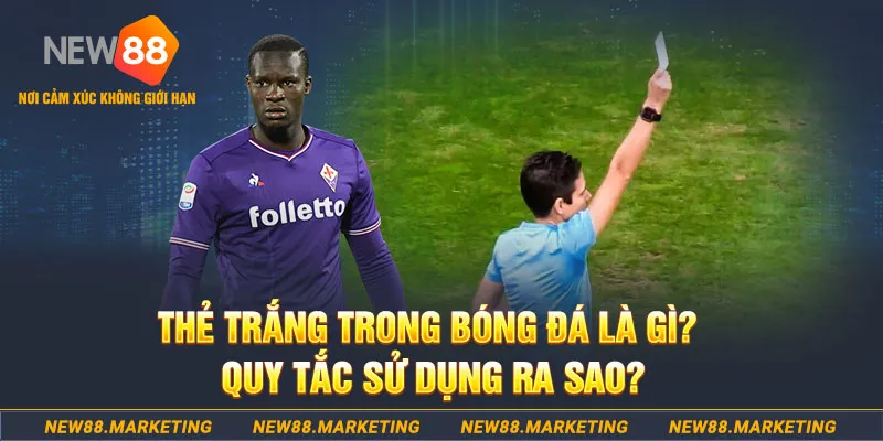 79king2 đăng nhập sòng bạc hôm nay