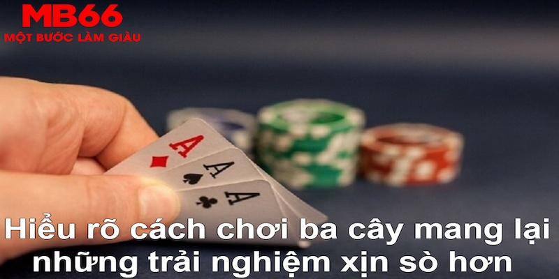 79king2 ÁT CHỦ MÁY HOA QUẢ THẦN TÀI