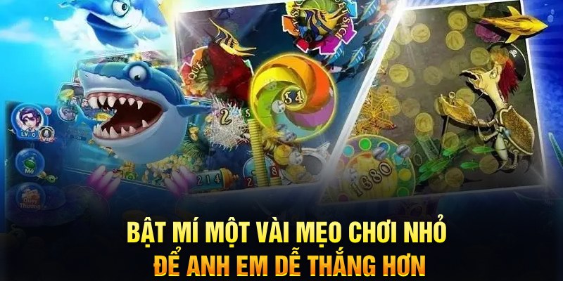 79king2 xổ số thứ ba