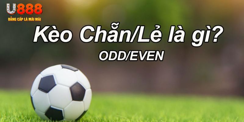 79king2 đăng nhập sòng bạc 2024
