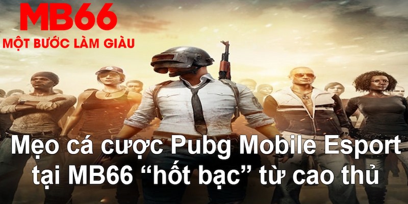 79king2 đăng nhập nổ hũ mới nhất