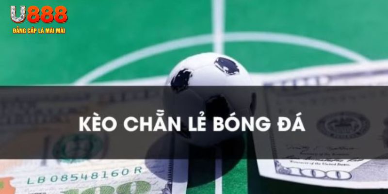 79king2 gà chọi c1.tv