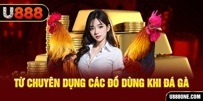 79king2 đá gà trực tiếp campuchia